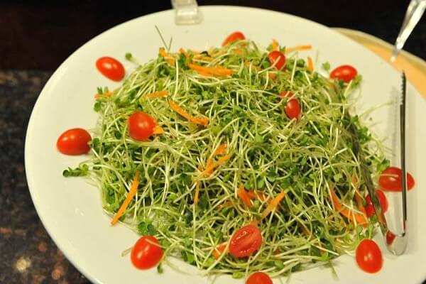 Cách Làm Salad Rau Mầm Dầu Giấm Giữ Dáng Đẹp Da - Món Ngon