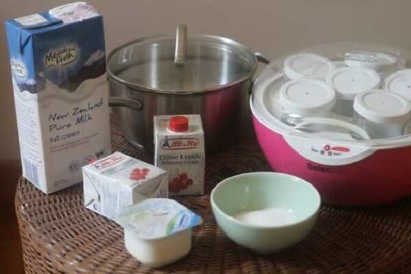 Cách làm yaourt dẻo mà không phải ai cũng làm được - Món Ngon
