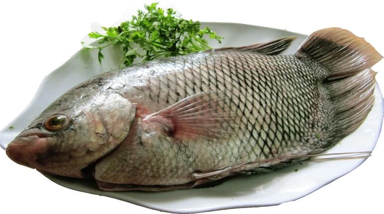 Cá chiên sốt me 2