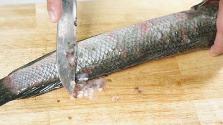 Bạn hãy cạo sạch vảy cá trước khi chế biến