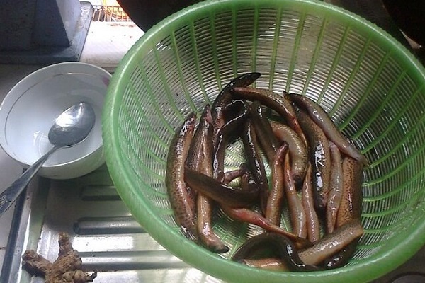 Cách làm cá chạch kho nghệ chuẩn vị thơm ngon