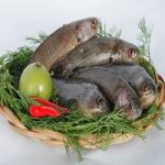 Đừng bỏ lỡ món cá đồng kho tiêu thơm ngon, đơn giản, dễ làm