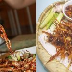 Top 21 món ăn ngon nhất Cần Thơ không thể bỏ qua