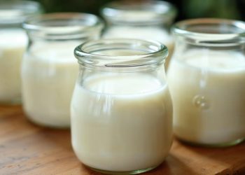 Các hũ sữa chua tự làm từ sữa tươi màu trắng mịn