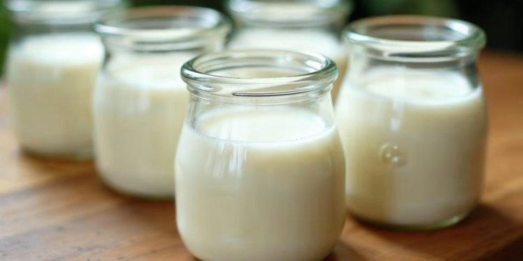 Các hũ sữa chua tự làm từ sữa tươi màu trắng mịn