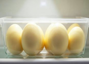 Trứng luộc đã bóc vỏ để trong hộp kín cất ngăn mát tủ lạnh